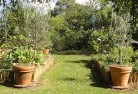 Alberton Westvegetable-gardens-3.jpg; ?>